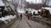 (2011.02.23) ЭкоВахта посетила район строительства олимпийской резиденции Путина и Медведева